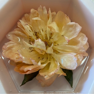 Bloem in Epoxy